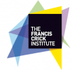 Francis Crick Institute: Government against COVID-19